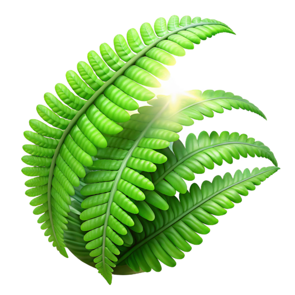 distinctive geometric A lush, green fern unfurling in a beam of iridescent sunlight filtering through a dense rainforest canopy. Photorealistic, National Geographic style perfect clarity png