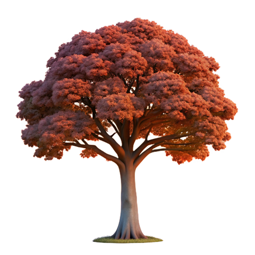 dazzling gothic A solitary ancient oak tree silhouetted against a vibrant sunset sky, painted in the style of Albert Bierstadt high resolution png