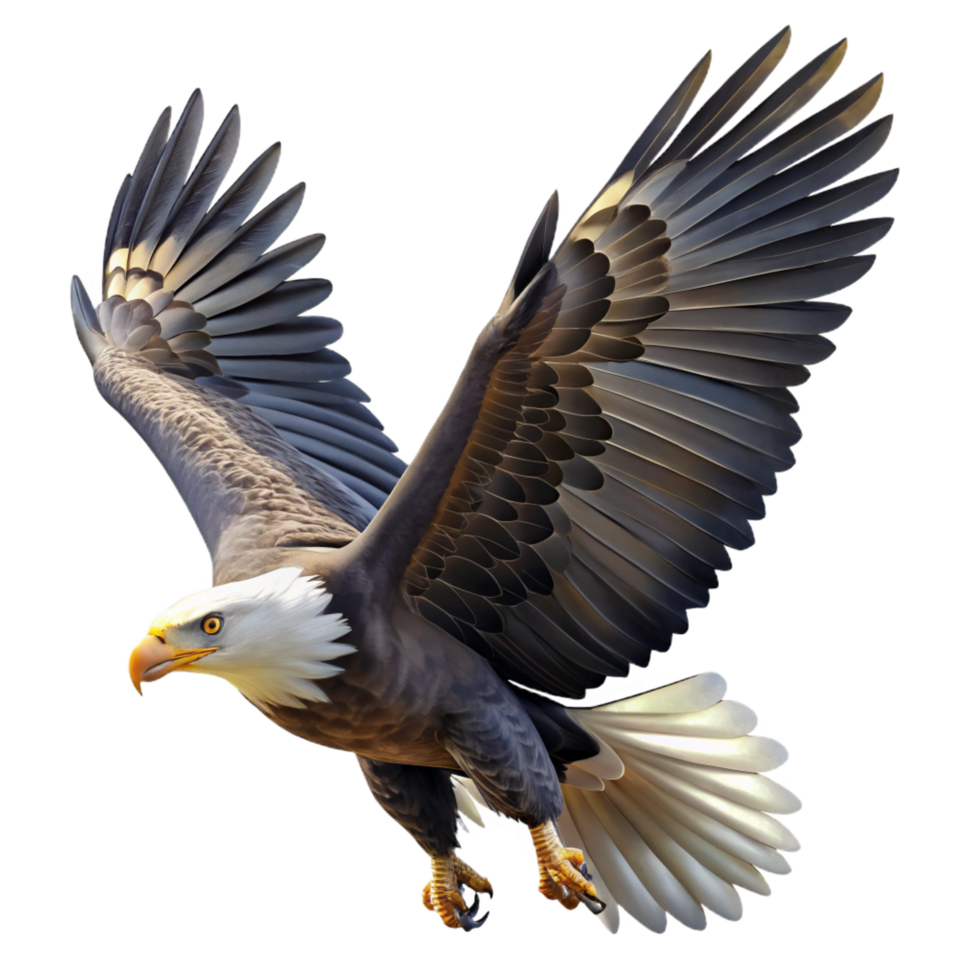 unforgettable creative A majestic bald eagle soaring through the sky, dynamic lighting, realistic wildlife photography ultra HD png