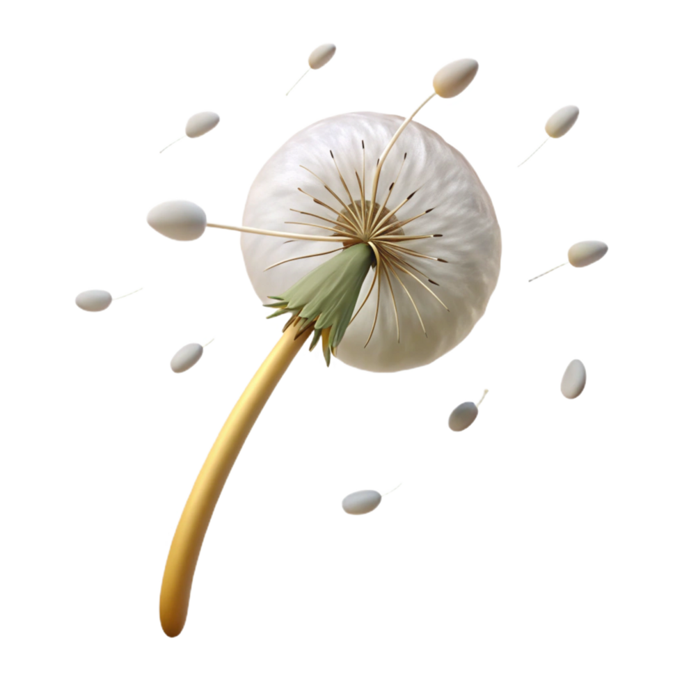 captivating peaceful modern A single dandelion seedhead with seeds blowing in the wind, soft afternoon light, whimsical and dreamy, illustrative style handcrafted png