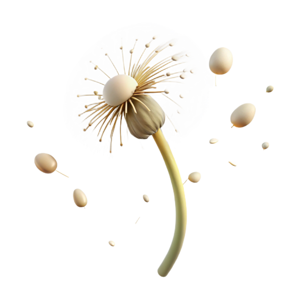 alluring inspired A single dandelion seedhead with seeds blowing in the wind, soft afternoon light, whimsical and dreamy, illustrative style png