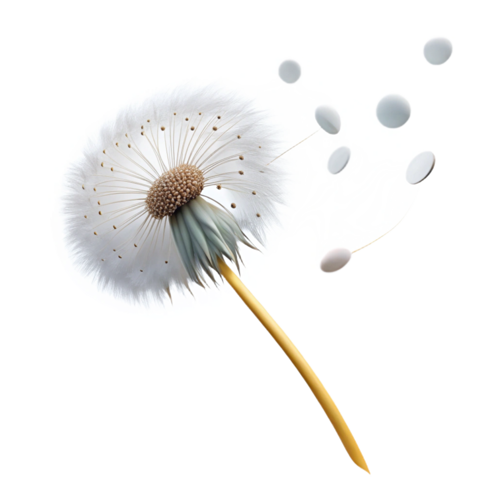 mesmerizing joyful abstract A single, delicate dandelion seedhead with seeds blowing in the wind, ethereal lighting, dreamlike style high quality png