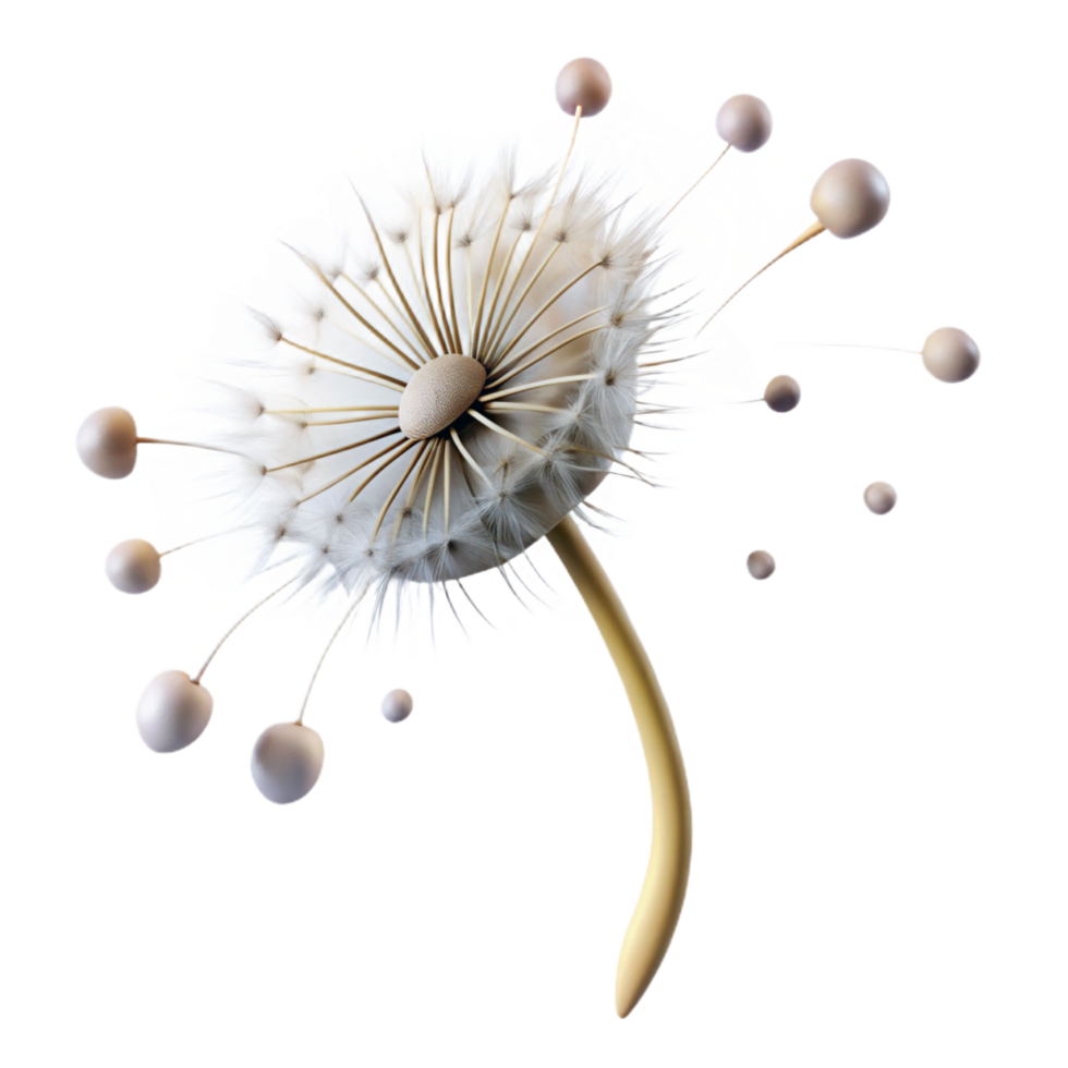 timeless artistic A single, delicate dandelion seedhead with seeds blowing in the wind, ethereal lighting, dreamlike style gallery standard png