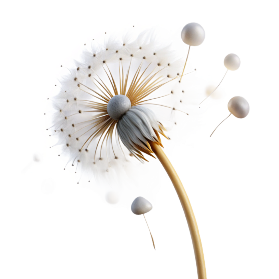 striking abstract A single, delicate dandelion seedhead with seeds blowing in the wind, ethereal lighting, dreamlike style studio quality png