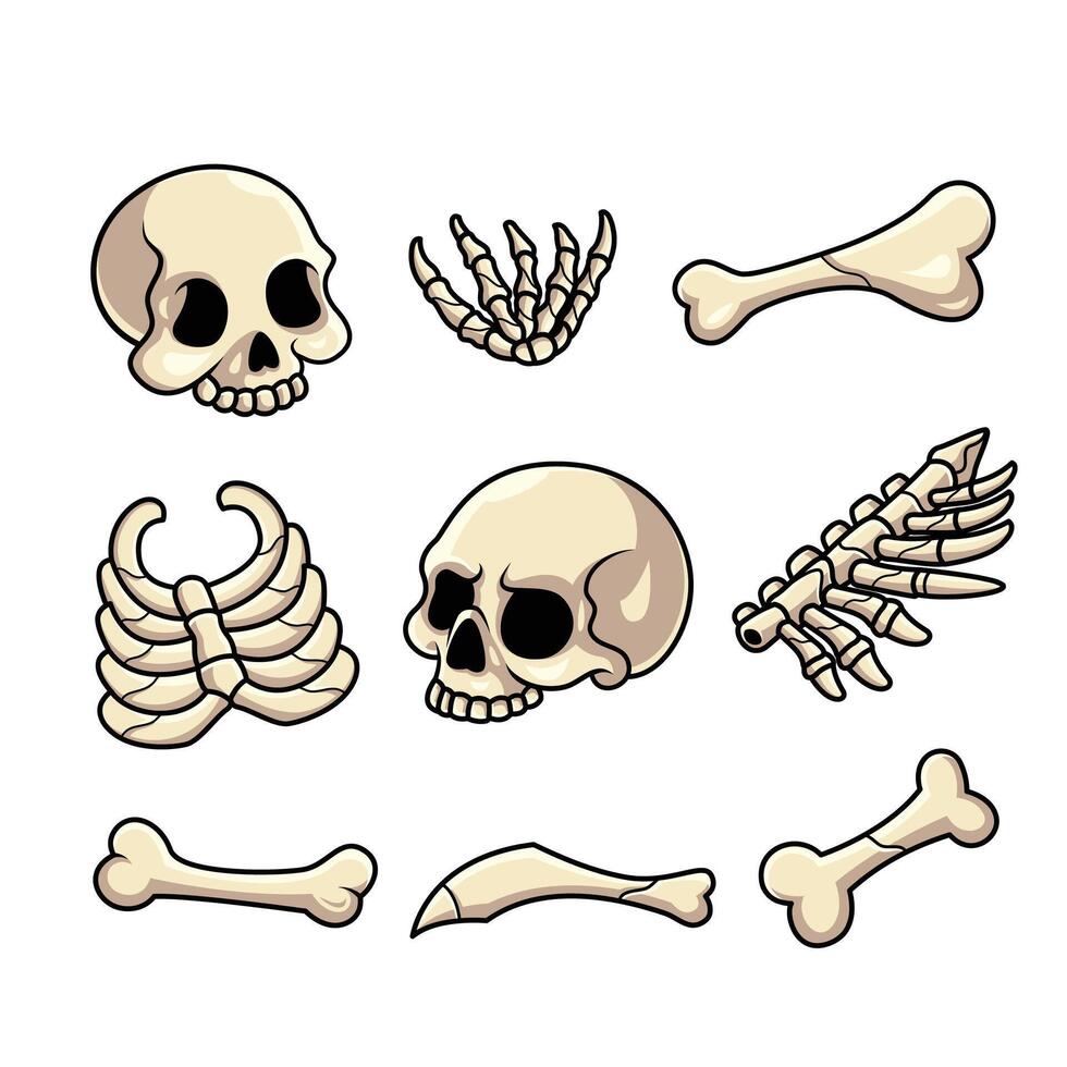 Skeleton Bone Set Illustration vector