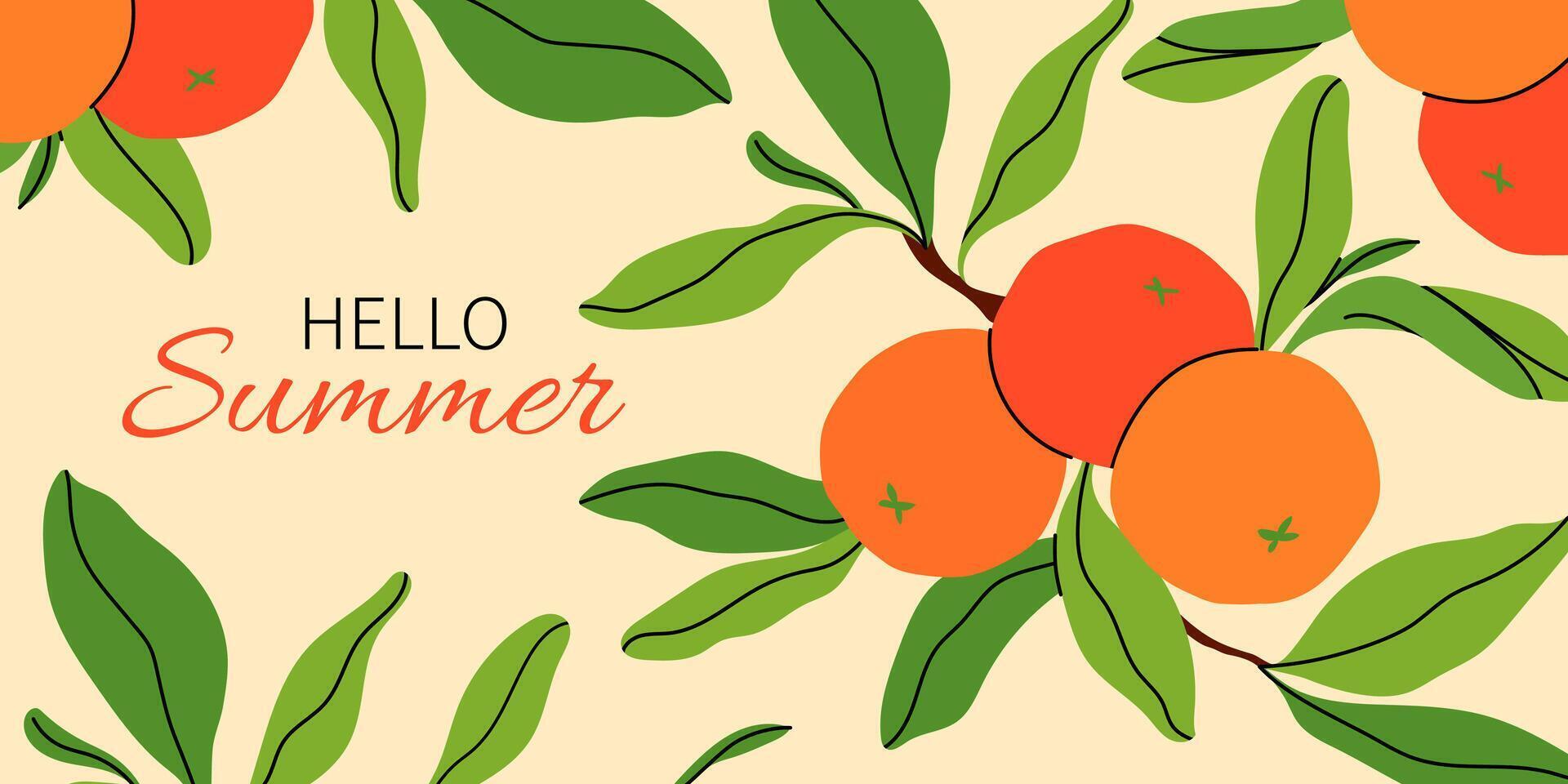 Hello Summer banner with fresh oranges and green leaves on light yellow background. Summer season background. Bright flat illustration for seasonal sale, promotion, poster, invitation. vector
