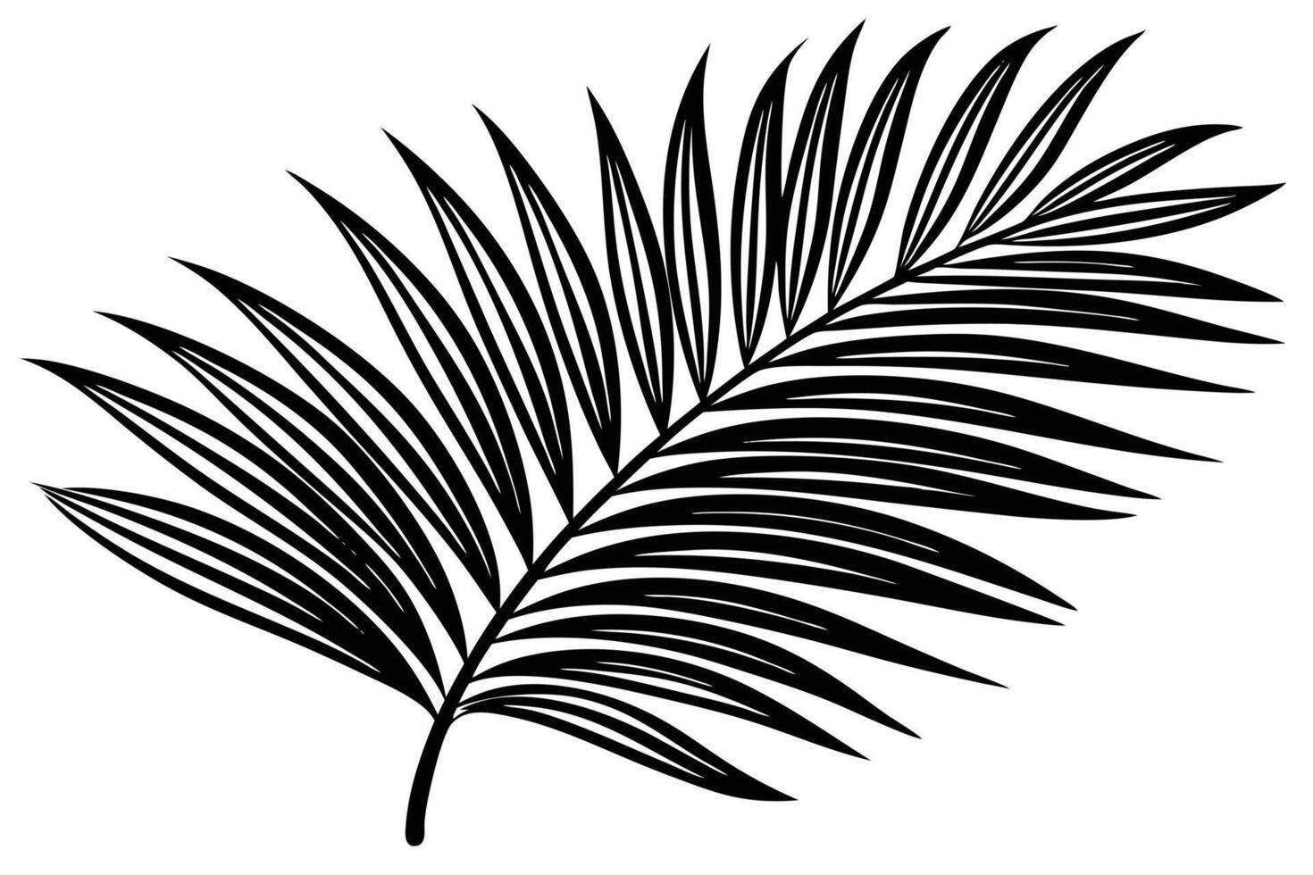 Black and White Palm Leaf Design vector