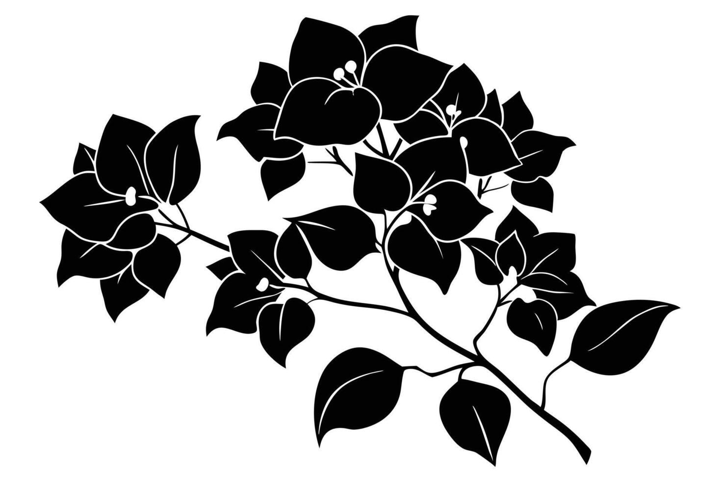 A black and White Silhouette of Bougainvillea Blooms vector