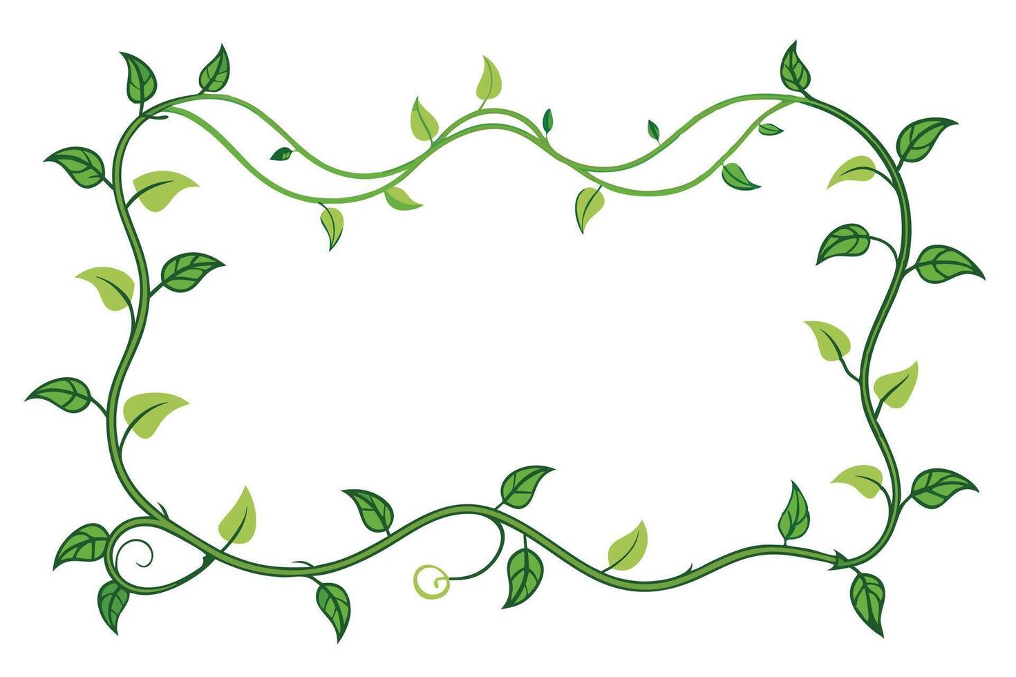 Elegant green vine border on a white background. vector