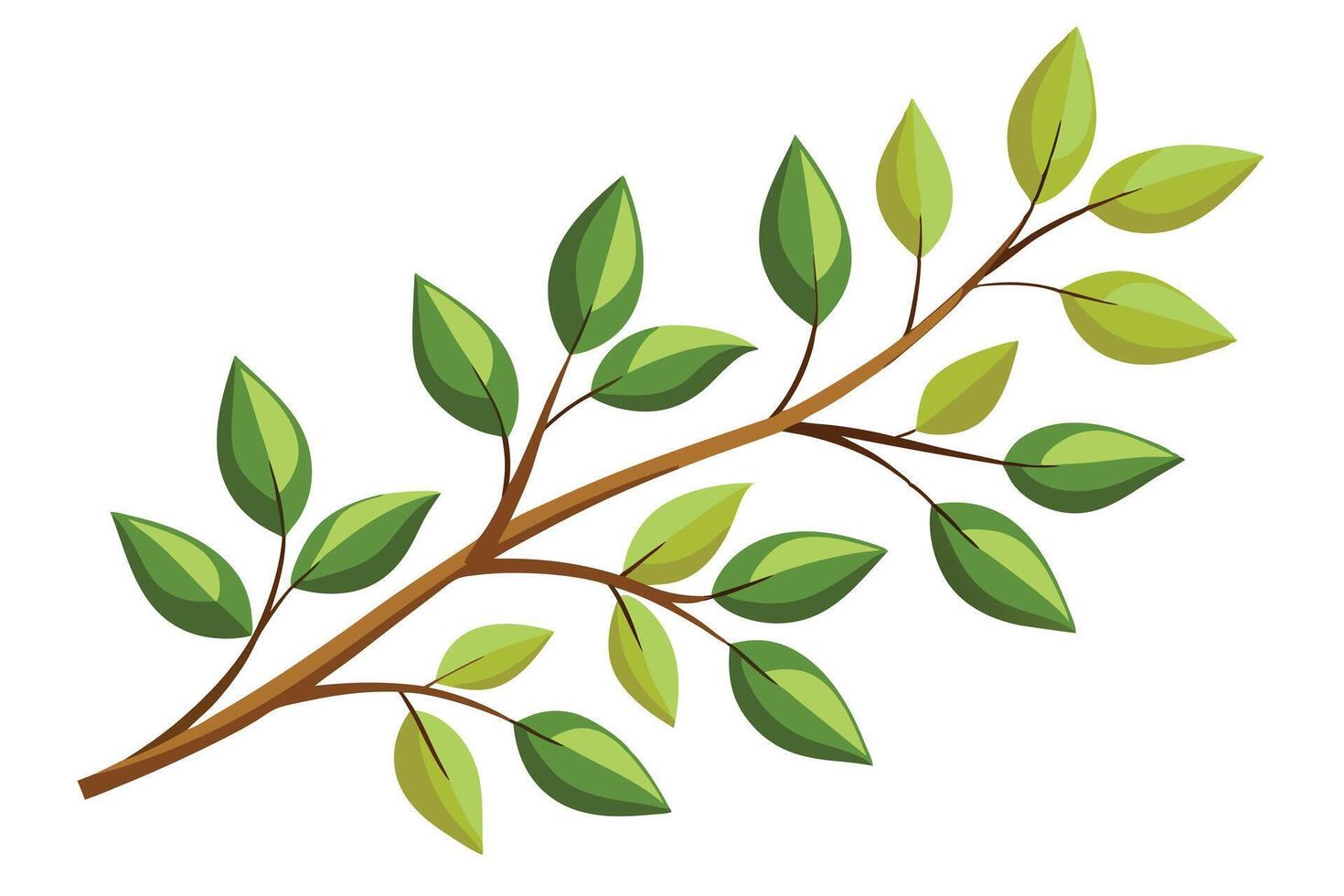 A vibrant Green Branch with Lush Leaves vector