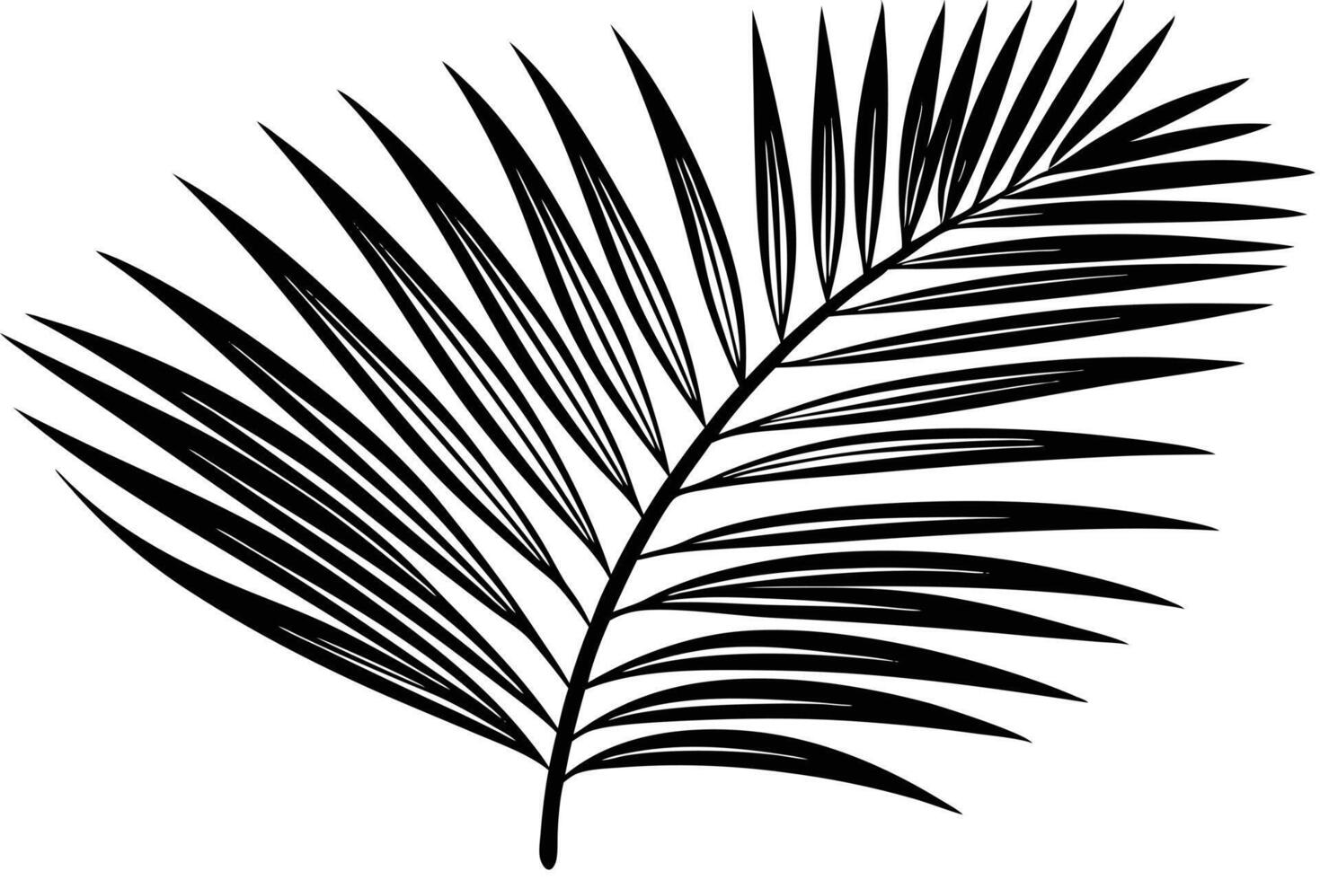 Striking Black and White Palm Leaf Design vector