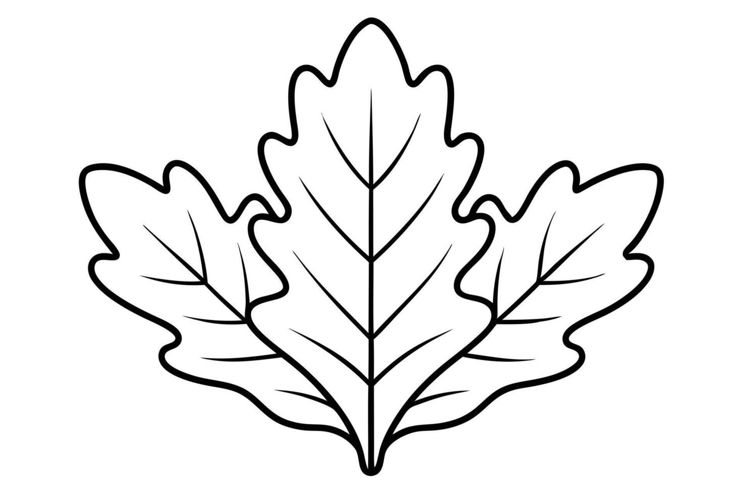 A simple Black and White Oak Leaf Illustration vector
