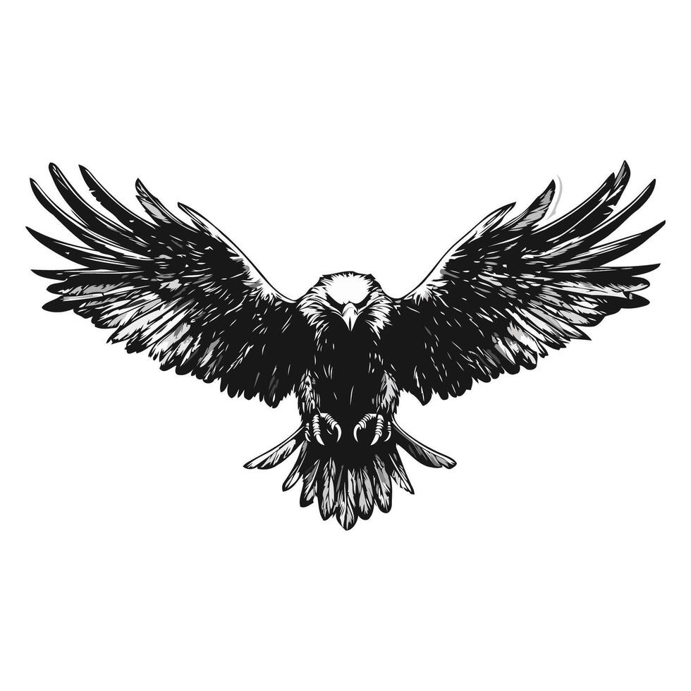 Eagle Spreading Wings Hand Drawn Art vector