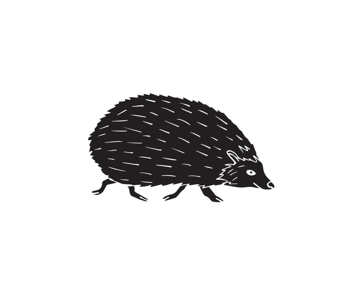 Hand drawn doodle sketch hedgehog isolated on white background vector