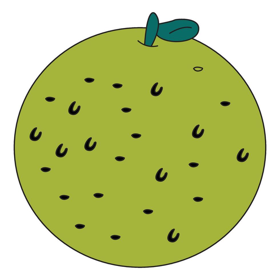 Fresh orange with green leaves illustration vector