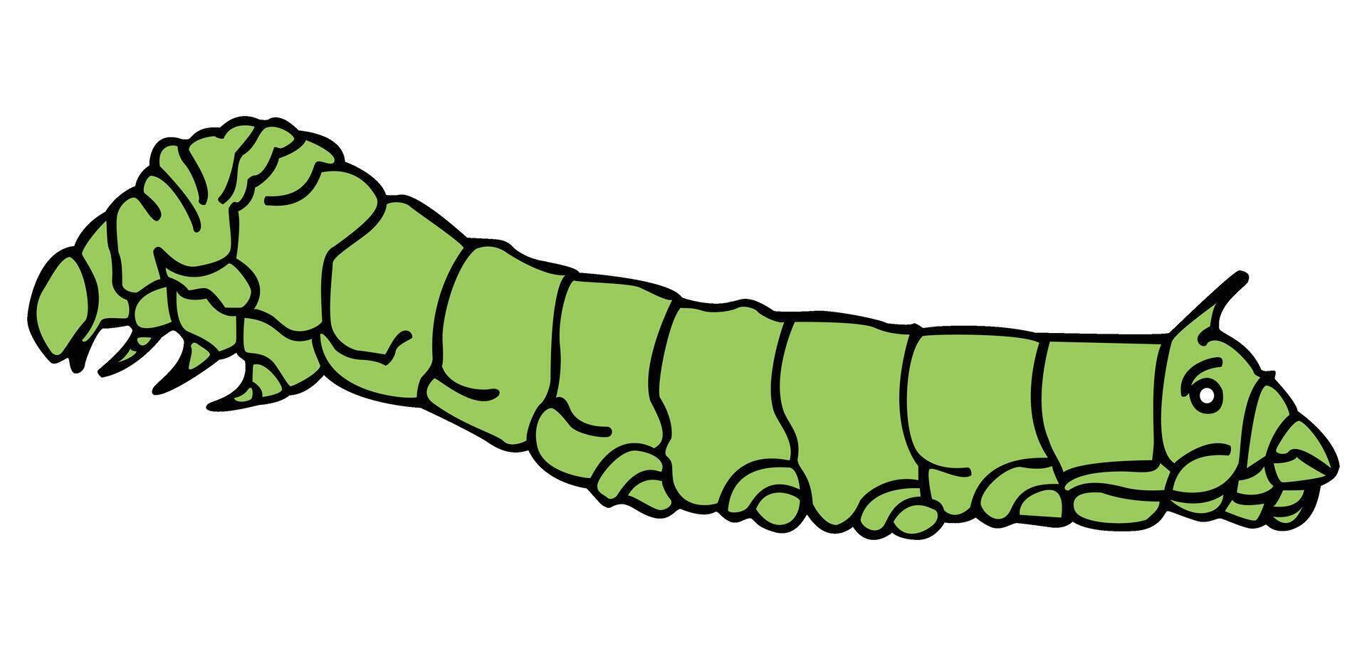 Green caterpillar isolated on white background vector