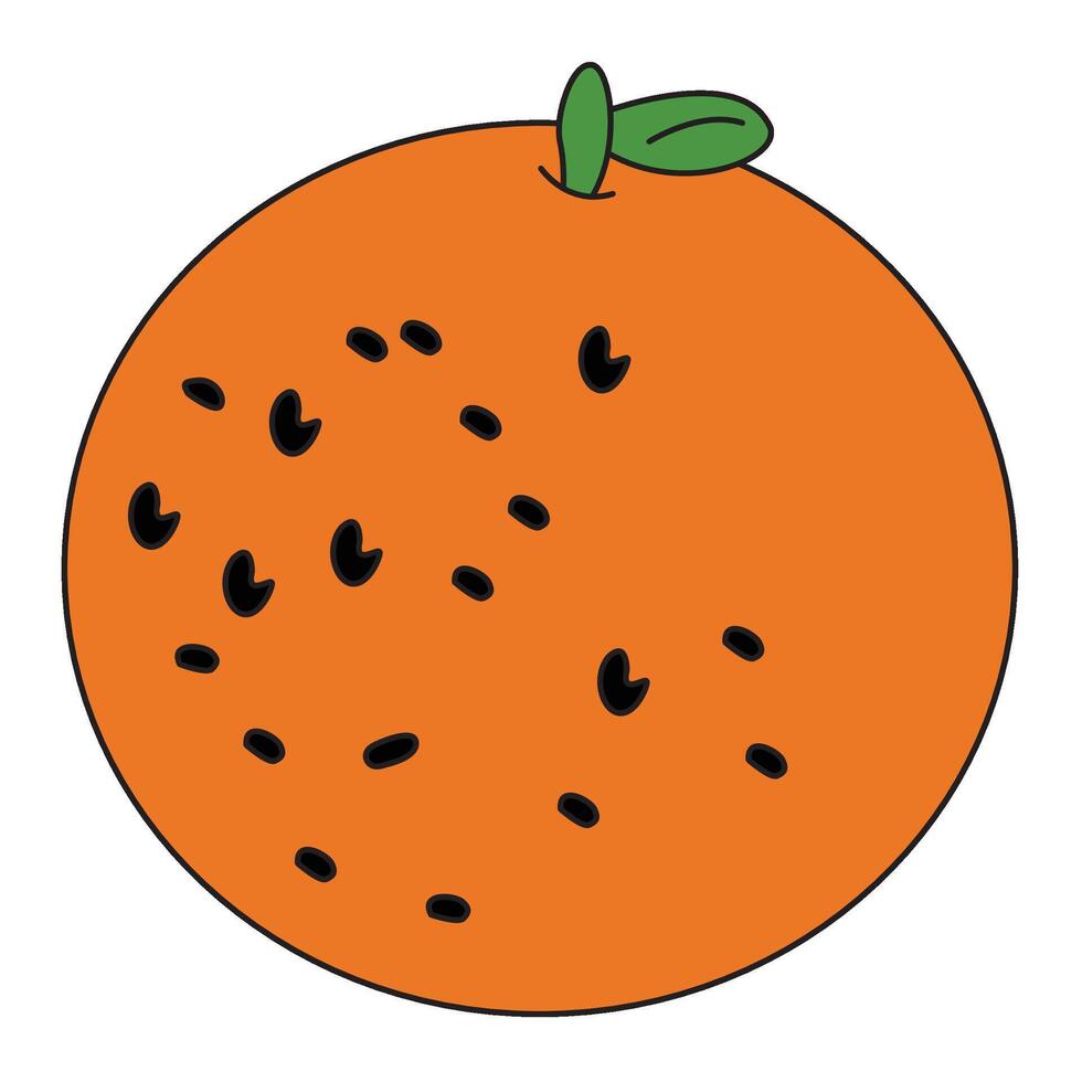 Orange with green leaves illustration vector