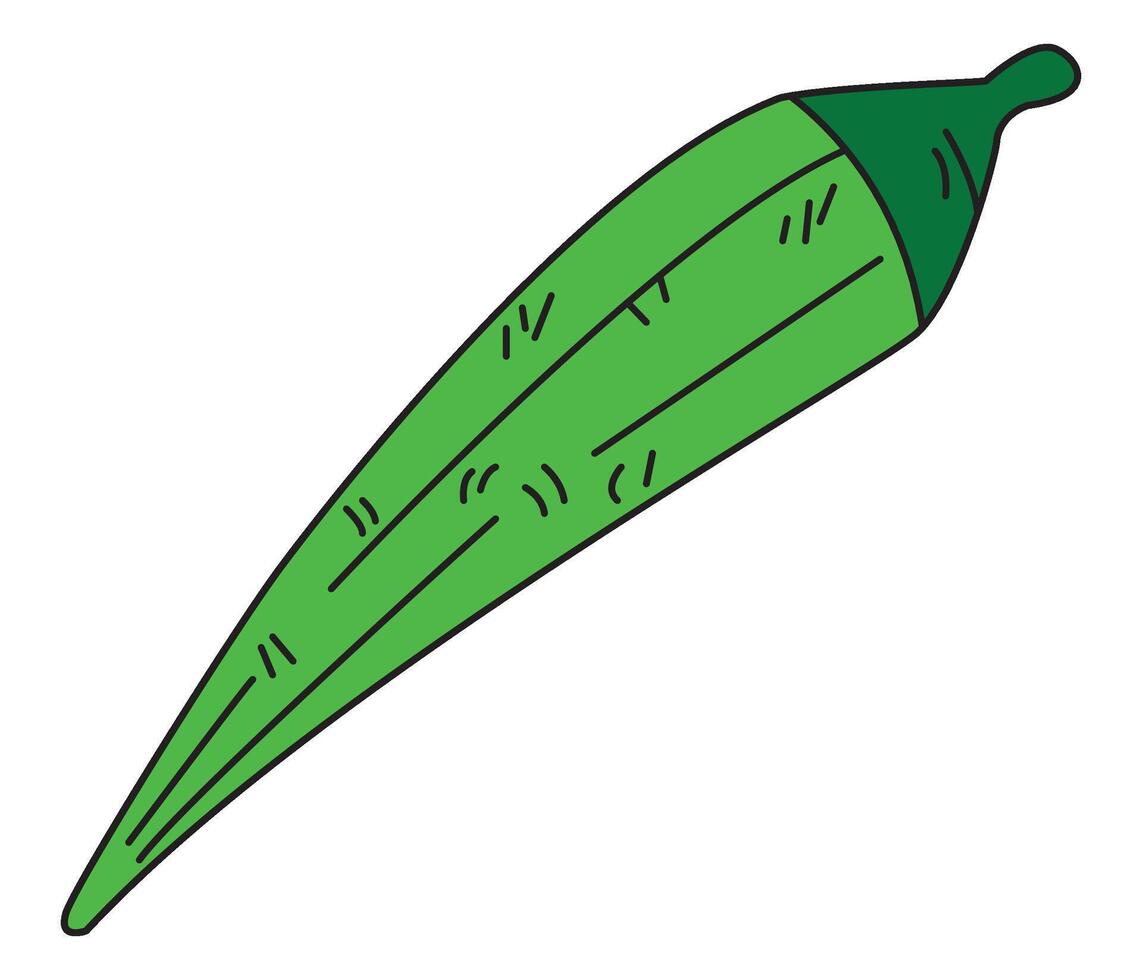 Fresh okra isolated on white background vector