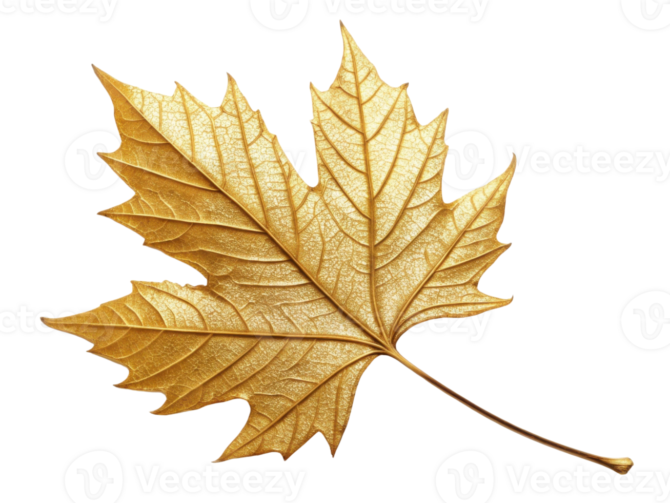 beautiful golden maple leaf with intricate details and shimmering texture, symbolizing autumn and nature beauty png