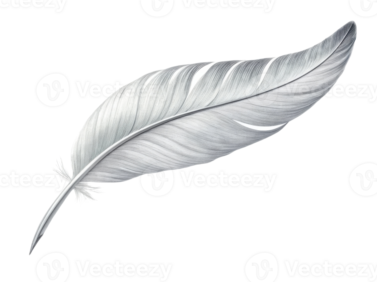 stunning silver leaf gracefully showcases its intricate details and smooth texture, embodying elegance and nature beauty png