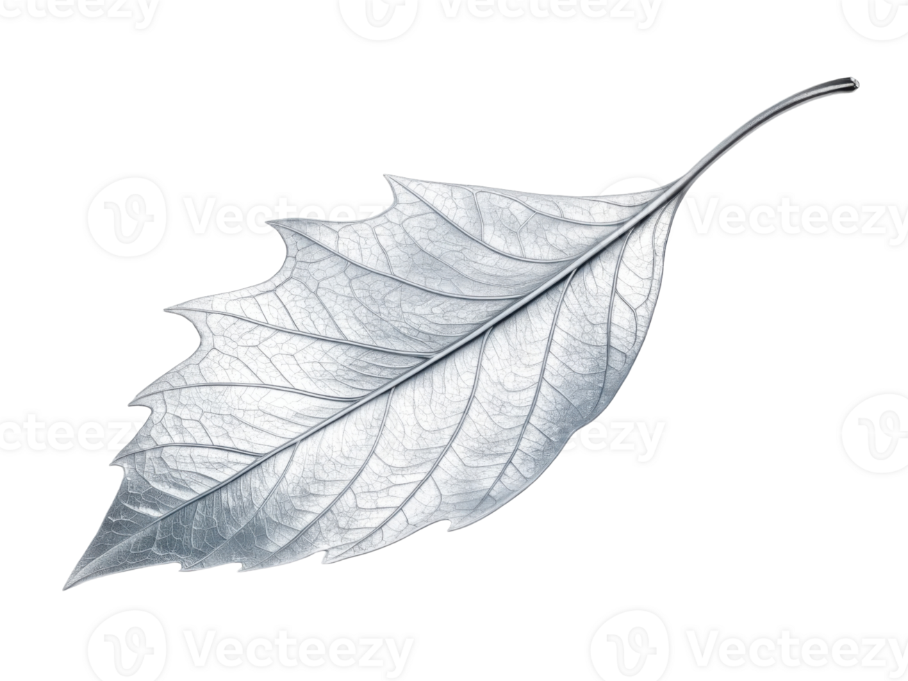 stunning silver leaf showcases intricate details and delicate texture, perfect for nature inspired designs and artistic projects png