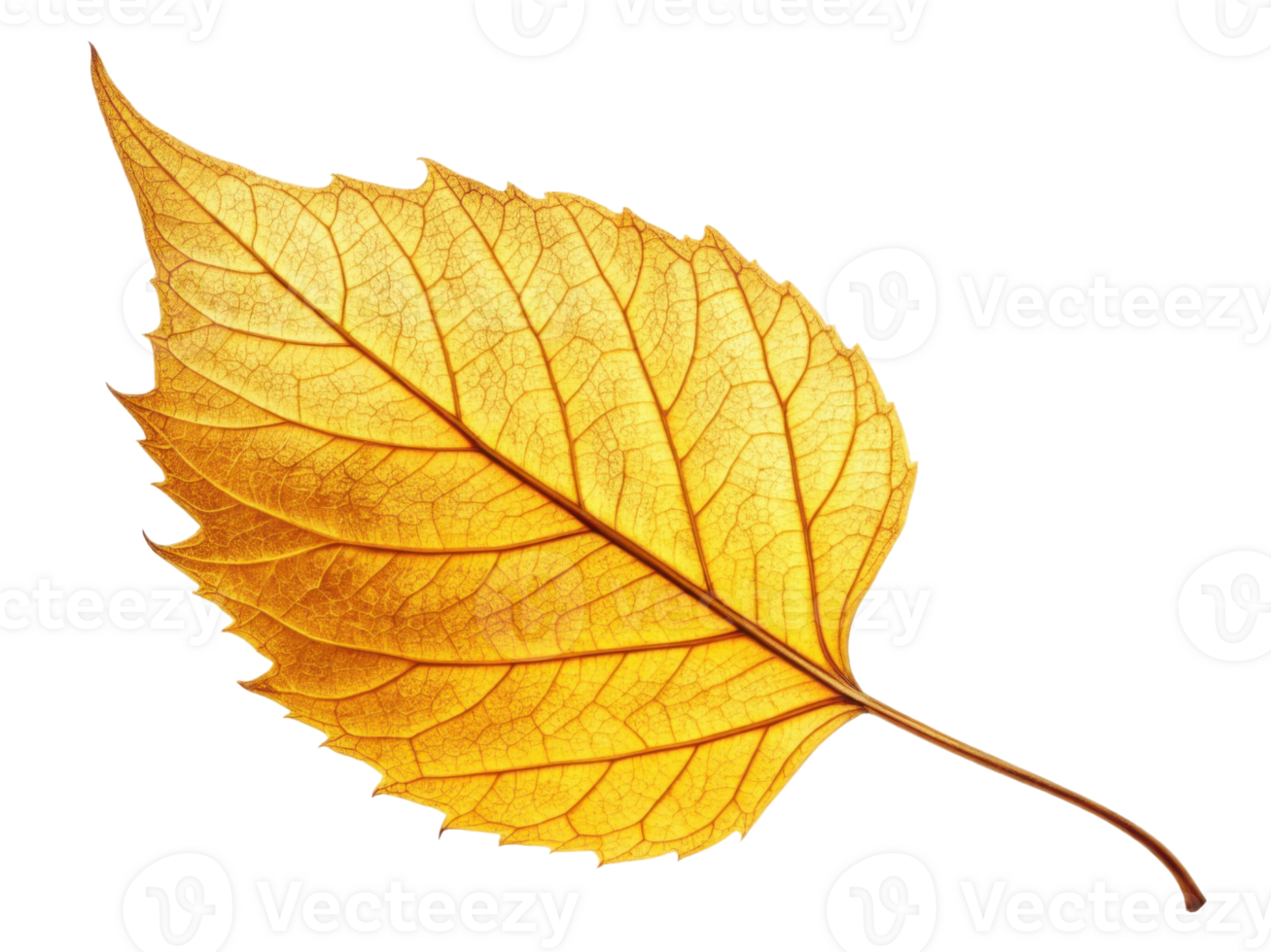 vibrant yellow leaf with intricate veins and smooth texture, showcasing beauty of autumn png