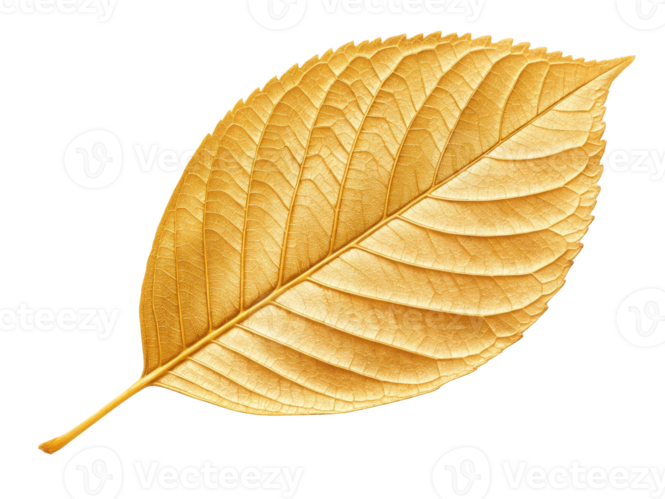 vibrant golden leaf showcasing intricate vein patterns and smooth texture, perfect for autumn themed designs or nature inspired projects png