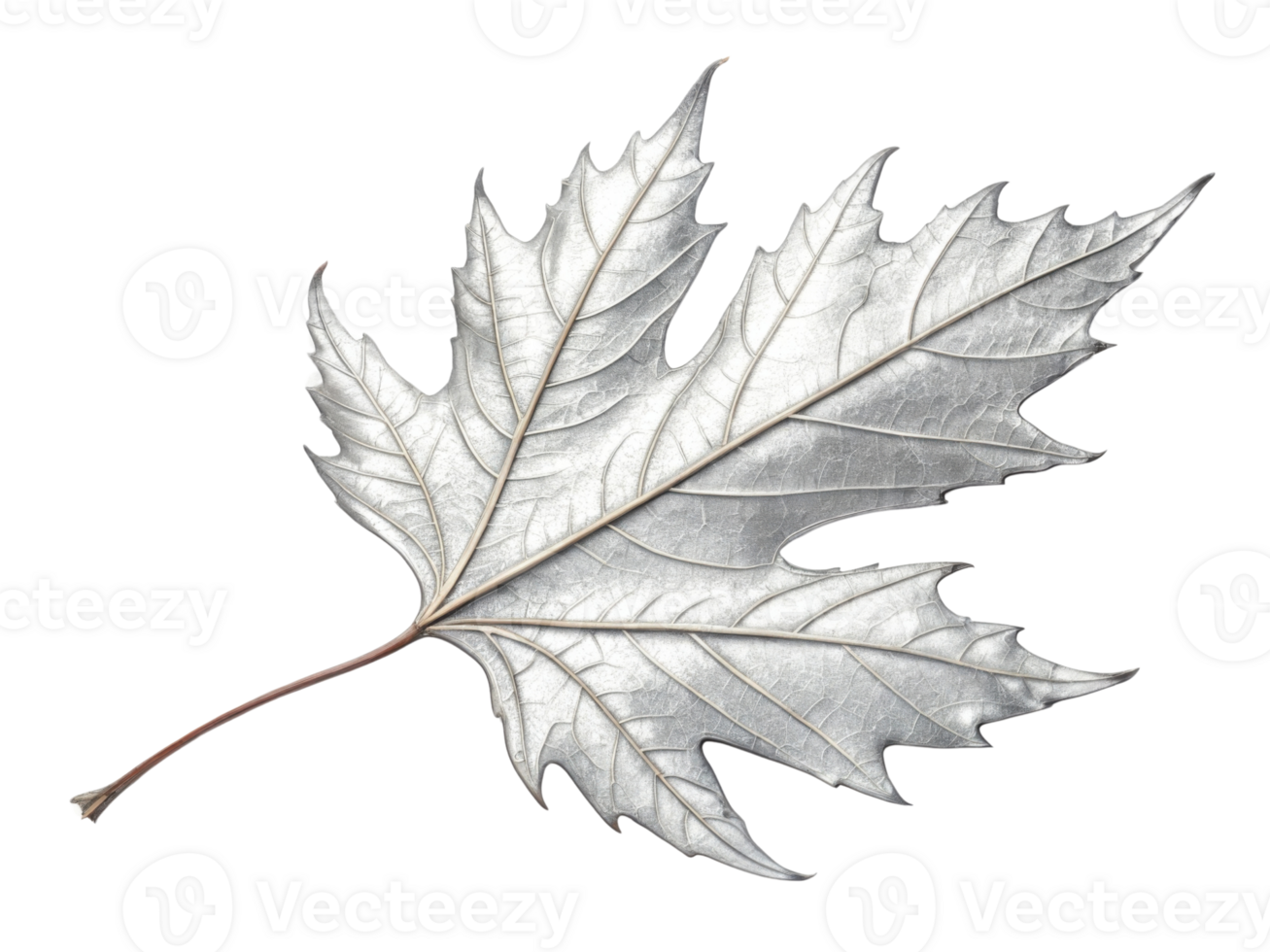 stunning silver leaf showcases intricate details and delicate structure, perfect for adding elegance to any design png