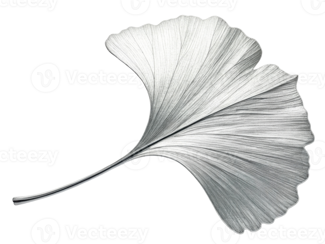 stunning silver leaf showcases intricate details and graceful shape, perfect for adding elegance to any design or decor png