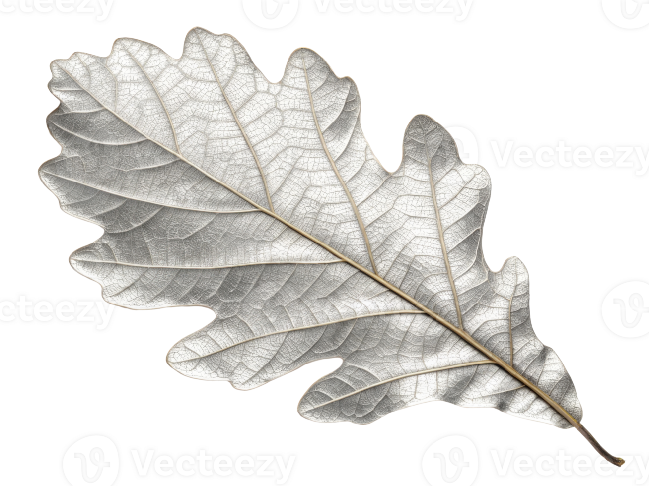 stunning silver leaf showcases intricate details and textures, reflecting light beautifully while adding elegance to any design png