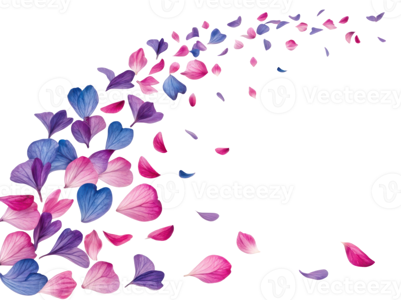 Fuchsia petals dance gracefully in air, creating beautiful floral display that captivates senses and brings joy png