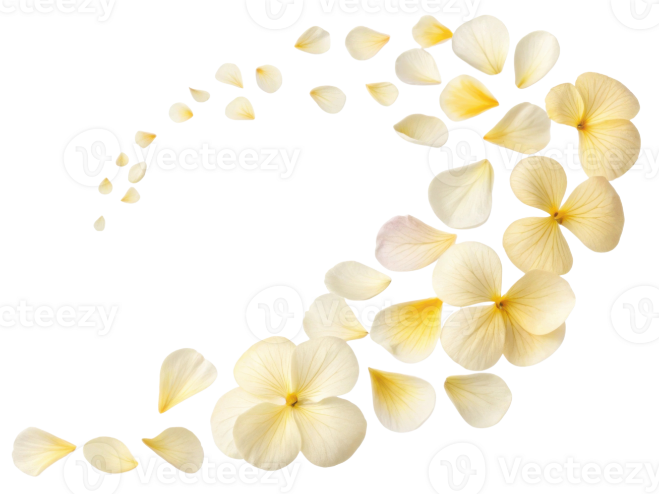 Delicate pansy flower petals create graceful swirl, showcasing their soft yellow hues and natural beauty in stunning arrangement png