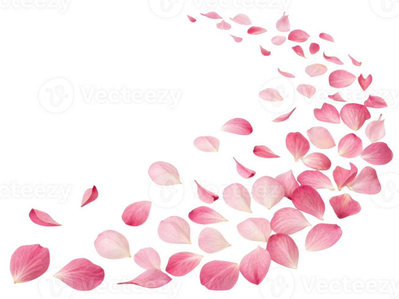 Delicate petunia flower petals create beautiful trail of soft pink hues that evoke sense of tranquility and elegance png