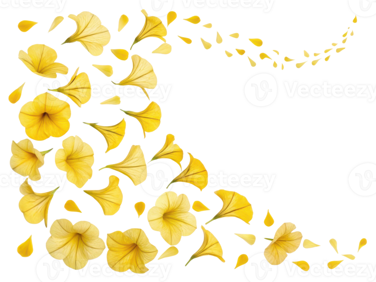 Bright and cheerful petunia flowers create beautiful cascade of yellow petals that evoke joy and warmth in any setting png