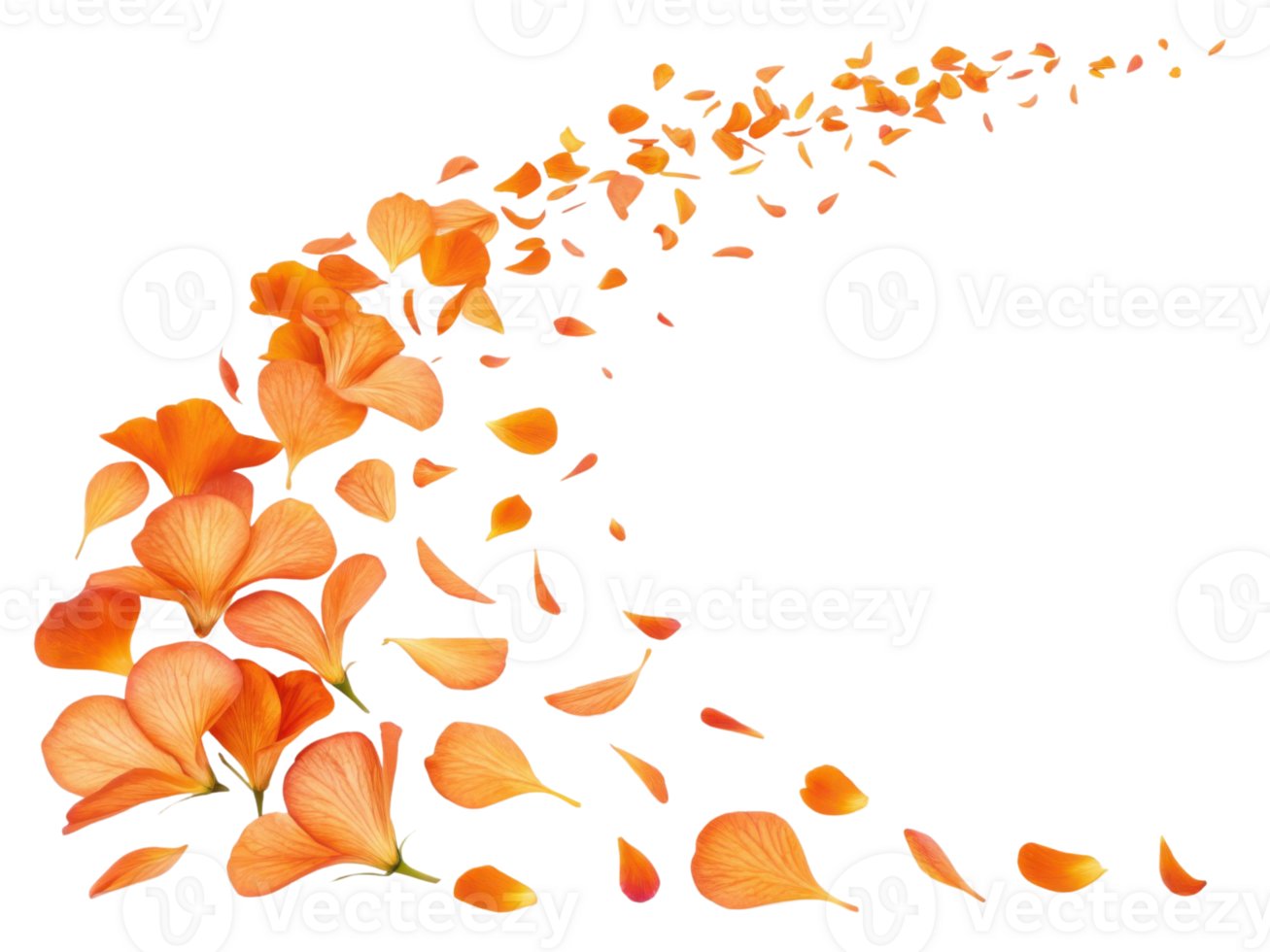 Beautiful orange petals create stunning visual flow resembling gentle breeze, showcasing elegance of nature artistry png