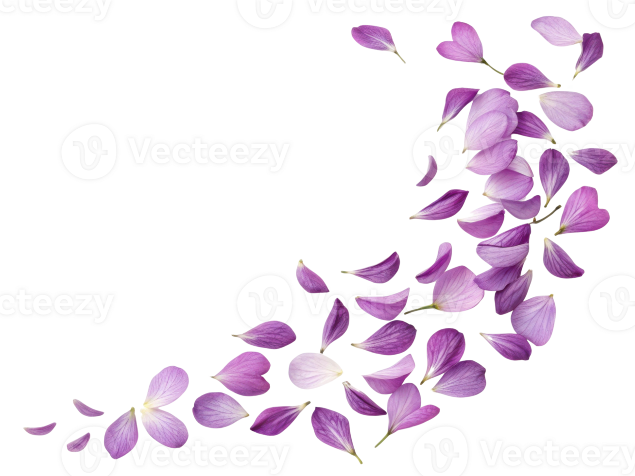 Beautiful purple snapdragon flower petals gracefully scatter across transparency background creating serene and delicate atmosphere png