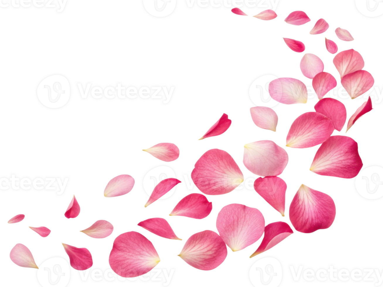 Beautiful pink petals gracefully scatter, creating delicate and serene atmosphere that captures essence of nature beauty png