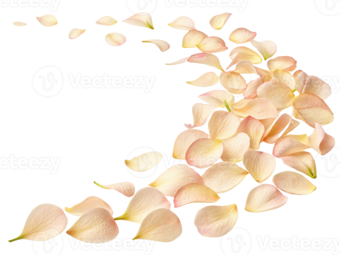 Soft and delicate petals create beautiful trail that evokes charm of nature and elegance of snapdragon flower png