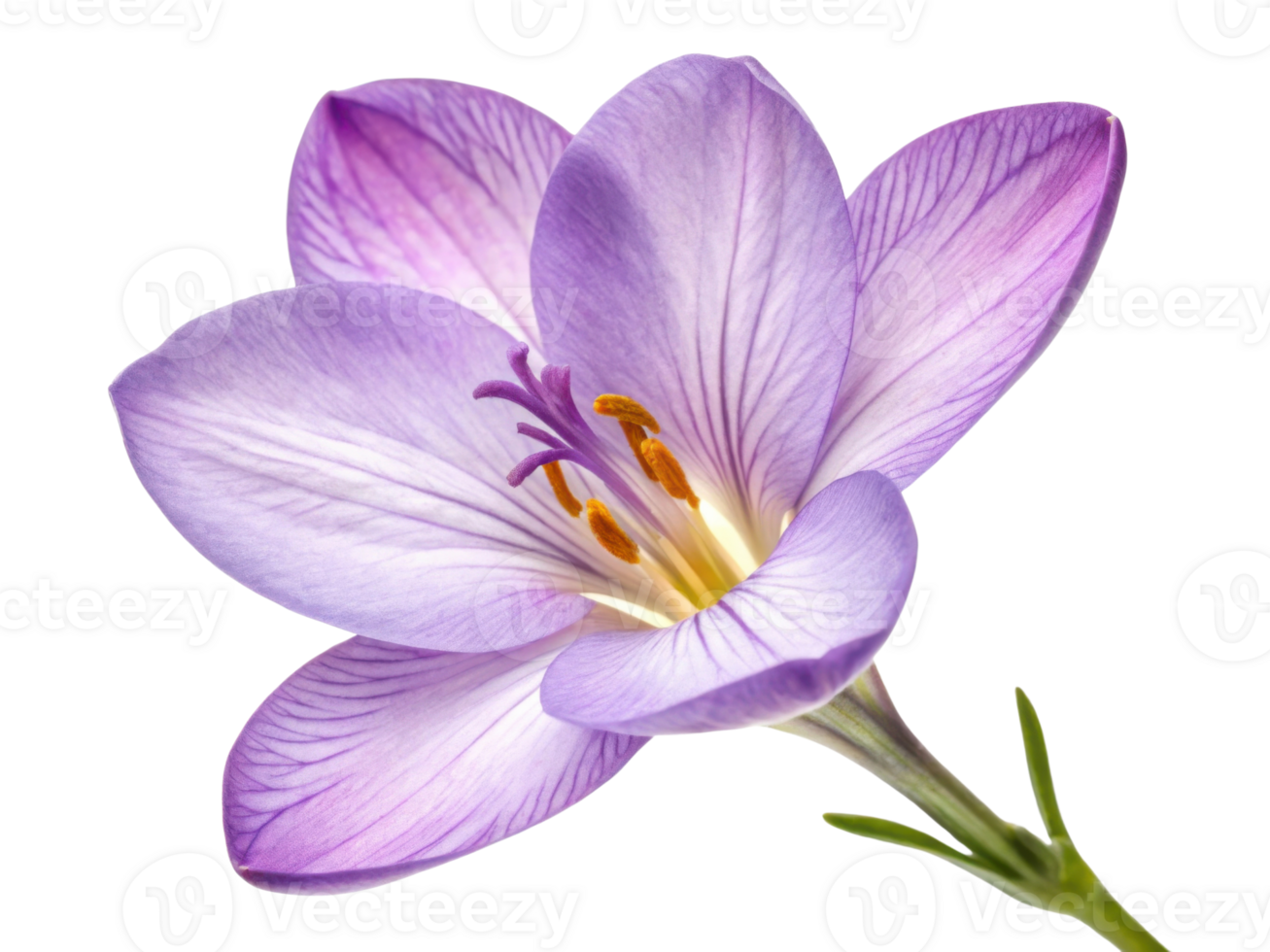 beautiful snapdragon flower showcases delicate purple petals and vibrant yellow stamens, radiating elegance and charm in nature design png