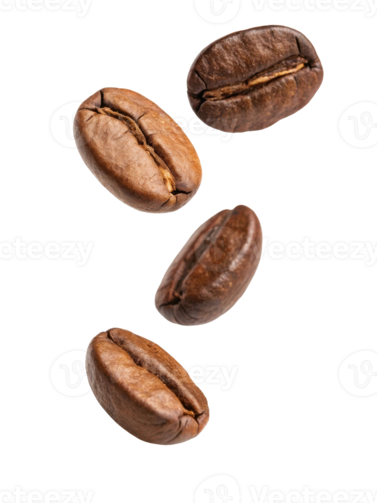 Falling coffee beans create dynamic and aromatic visual png