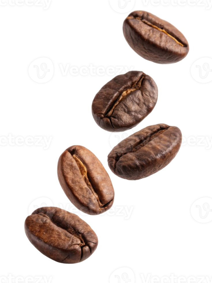 Falling coffee beans create dynamic and aromatic visual experience png