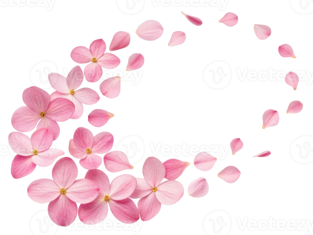 Forget me not flowers create beautiful scene with delicate pink petals that evoke feelings of love and remembrance in nature embrace png
