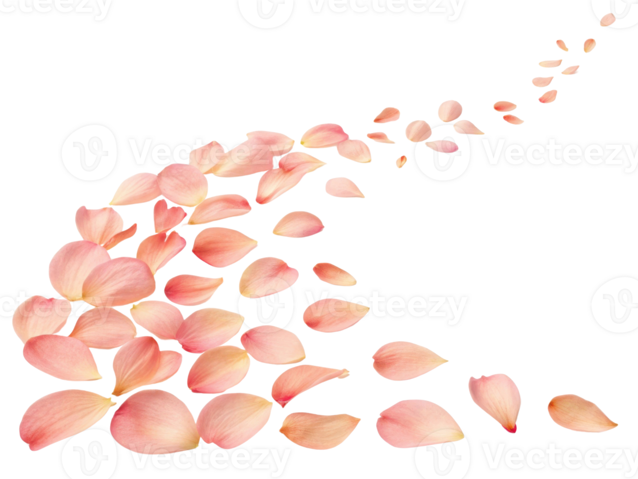 Delicate petals scatter gracefully, creating beautiful trail of soft pink hues that evoke sense of tranquility and romance png