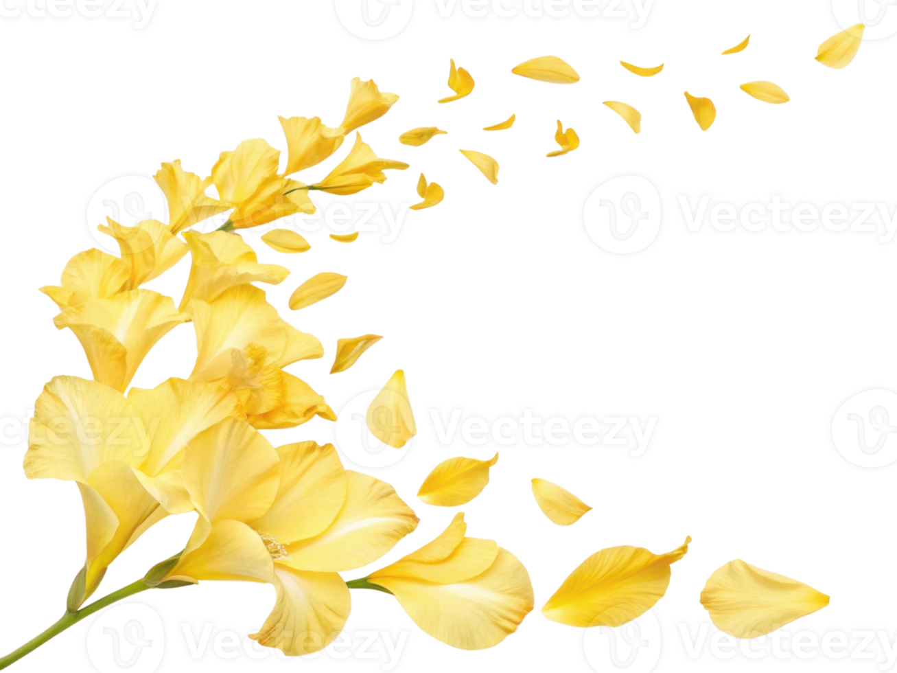 Beautiful gladiolus flowers in vibrant yellow create stunning visual as petals gracefully fall, evoking sense of tranquility and beauty png