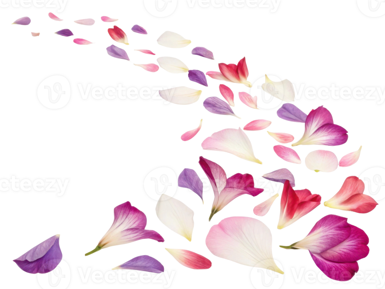Delicate petals of gladiolus flowers create beautiful trail of color and elegance, evoking sense of tranquility and beauty png
