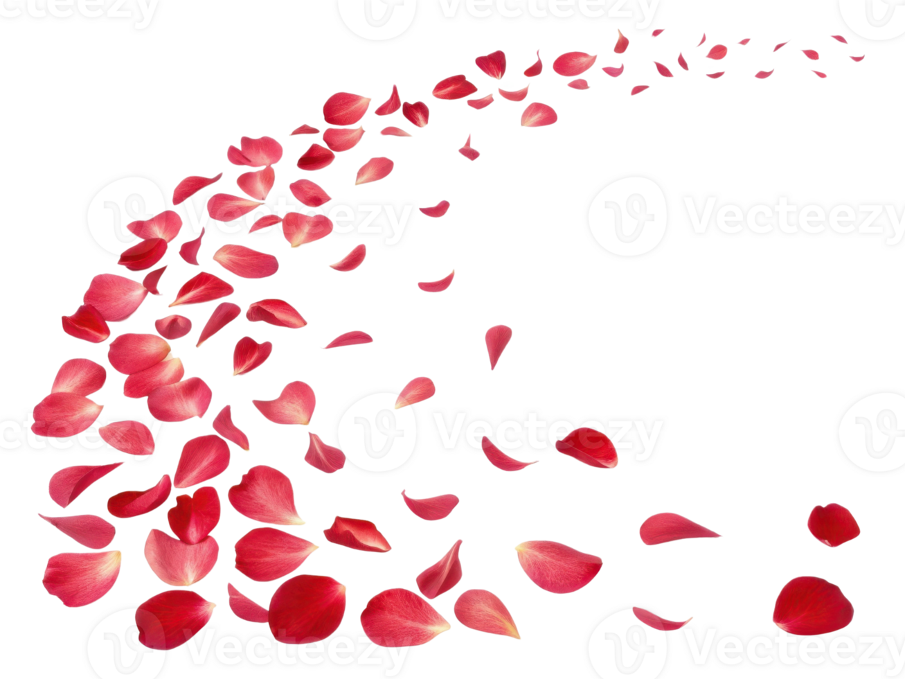 Beautiful hibiscus flower petals create vibrant trail of color, evoking sense of romance and nature elegance png