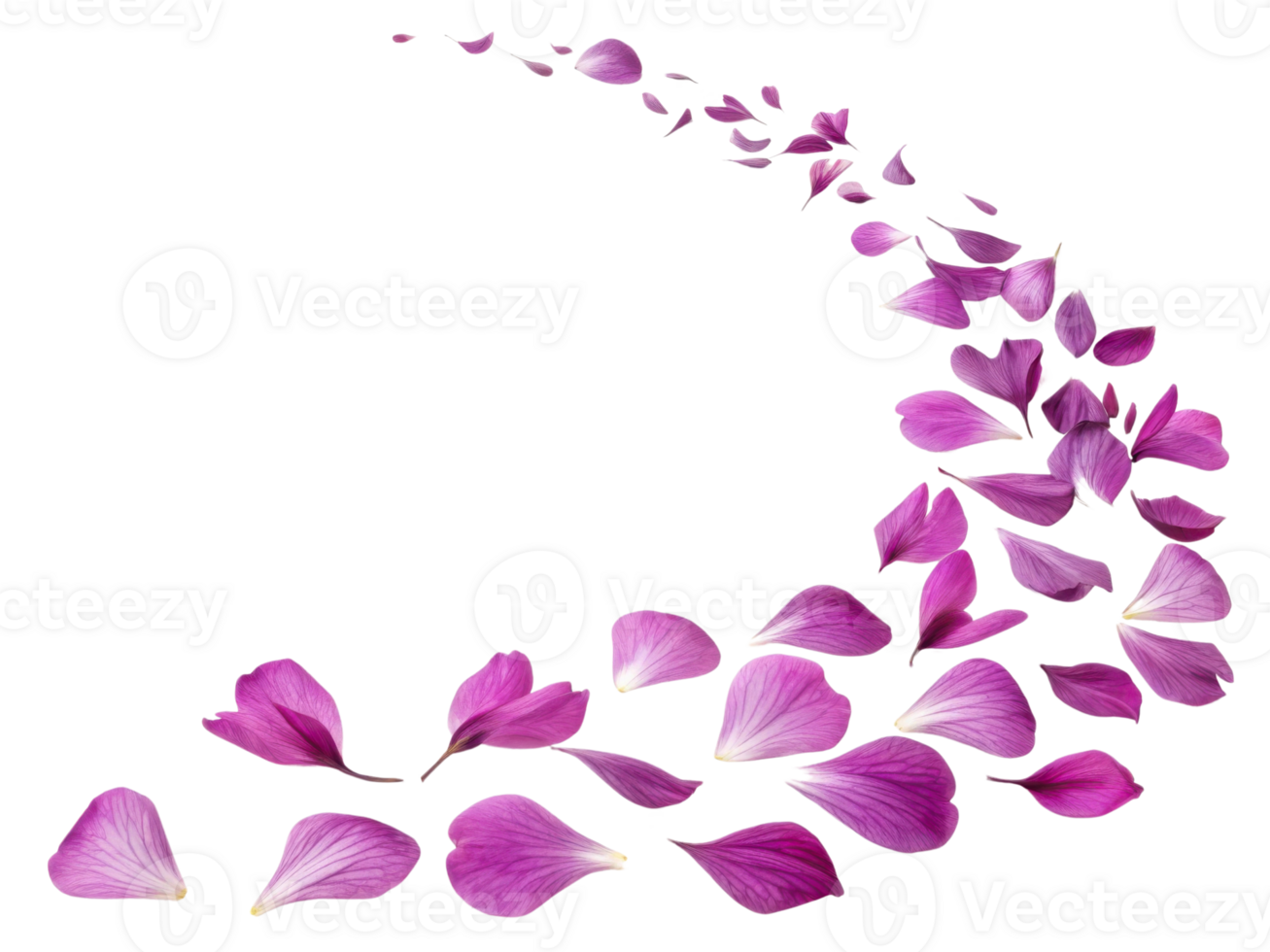 Beautiful pink hibiscus flower petals gracefully scatter, creating delicate and enchanting visual display png