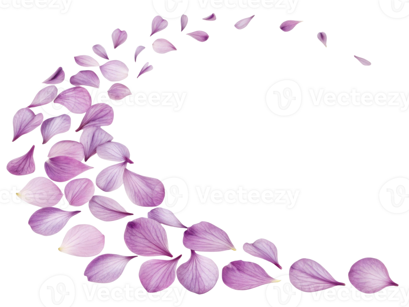 Delicate pink hibiscus flower petals gracefully swirl in beautiful pattern, creating serene and calming atmosphere png