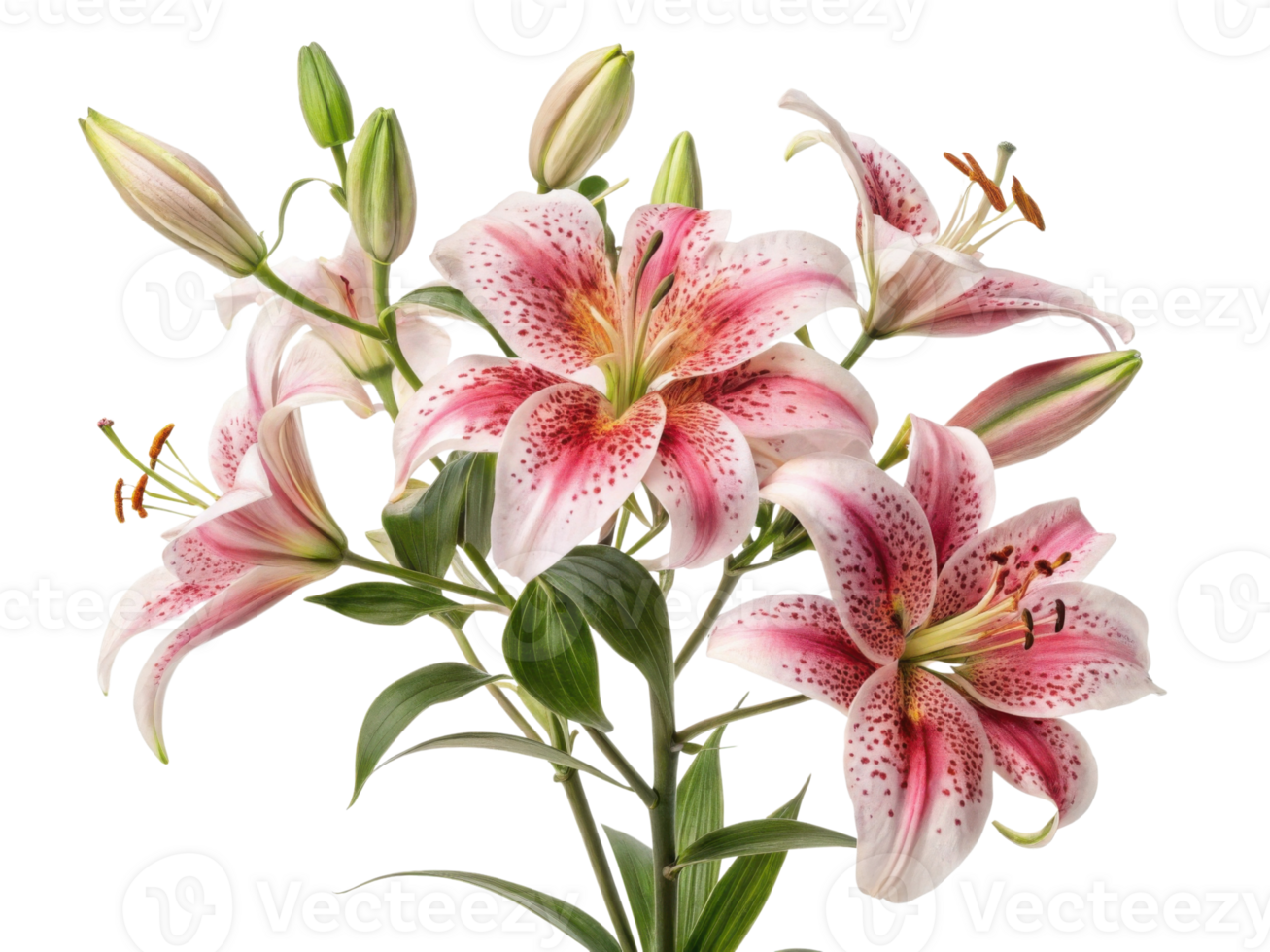 ・ lily (⁠◍⁠•⁠ᴗ⁠•⁠◍⁠)⁠❤ Amazon.com: Blue Turquoise Tiger Lily Bush Satin Artificial