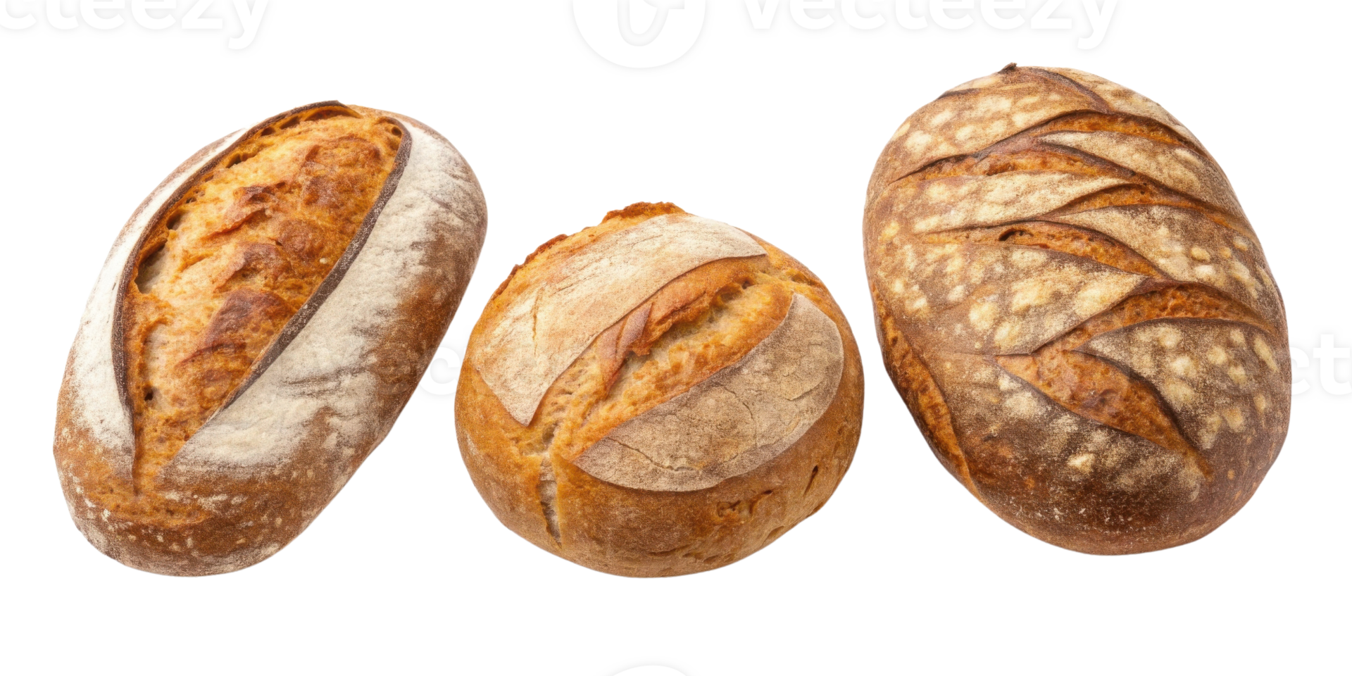 Freshly baked sourdough loaves showcase variety of textures and crusts, perfect for any meal or occasion png